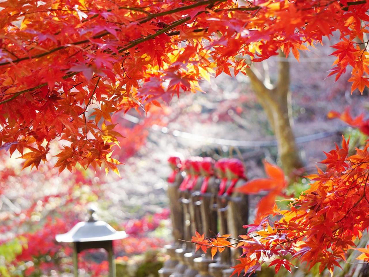 Togakubo Otel Isehara Dış mekan fotoğraf