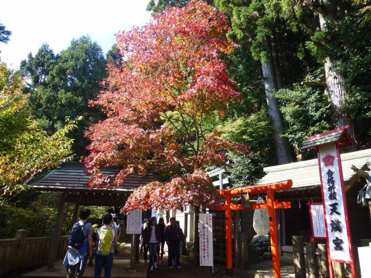 Togakubo Otel Isehara Dış mekan fotoğraf